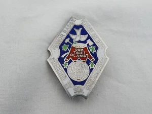 Vintage Woodman of the World Silver & Enamel Pin YS-9 - Picture 1 of 6