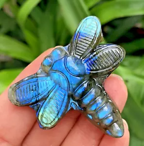 Cristallo libellula intagliato a mano 1,5" naturale labradorite Reiki guarigione 1pz - Foto 1 di 8