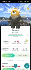 xxl shiny bewear background nagasaki - Picture 1 of 1