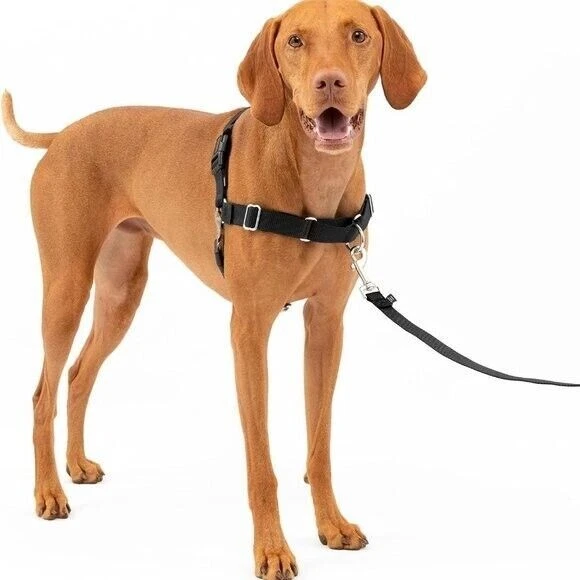 PetSafe Easy Walk No-Pull Dog Harness The Ultimate Harness to Help Stop Pulling - Image 1 of 4