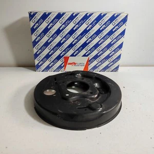 PORTA GANASCE POSTERIORE SINISTRO FIAT 127 ORIGINALE 4373412 - Imagen 1 de 7