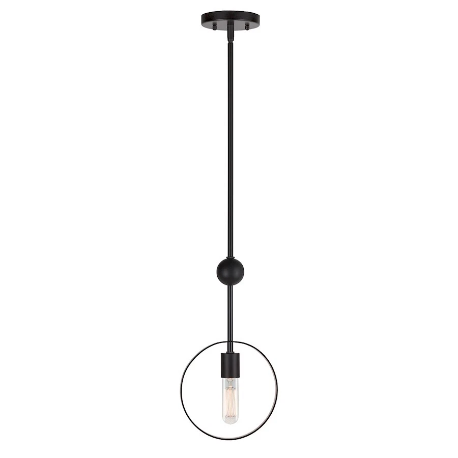Forte Lighting Monocle 1 Light Mini Pendant, Black and Gold - 7120-01-42 - Image 1 of 1
