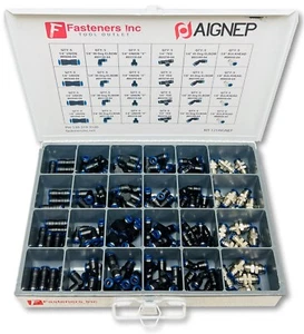 ¡121 piezas! Kit surtido de accesorios neumáticos de empuje para conectar de 1/4" AIGNEP Italia - Imagen 1 de 4