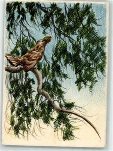 39626446 - sign. J. Zidlicky Auerhahn Jagdtier - Bild 1 von 2