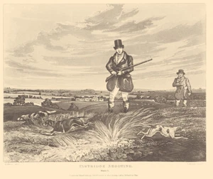 Alken Partridge Shooting Prints set of Four antique style reprints - Picture 1 of 8