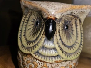 ScentSationals Type Wise Hoot Owl Wax Warmer with PLUG & LIGHT Ceramic No Brand - Picture 1 of 10