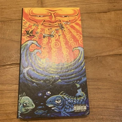 Sublime Everything Under the Sun Box Set CD 3 DVD 1 Used - Image 1 of 4