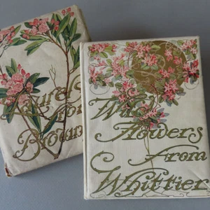 2 Antique c1909 Gift Books Pretty FLORAL Covers Poetry + Chromos FLOWERS Scenery - Picture 1 of 10