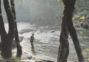 RIVER ROE, Northern Ireland - Vintage POSTCARD - Picture 1 of 2