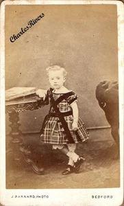 c1871 BEDFORD CDV JUNGE NAMENS GEORGE SUTTON siehe Beschreibung IN KARIERTEM KLEID #D4433 - Bild 1 von 2