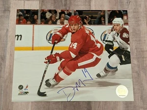Derek Meech Signed 8x10 Photo File COA Detroit Red Wings Winnipeg Jets - Picture 1 of 1