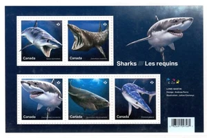 2018 Canada SC# 3105 Sharks in Canadian Waters White Shark-Souvenir Sheet-M-NH - Picture 1 of 1