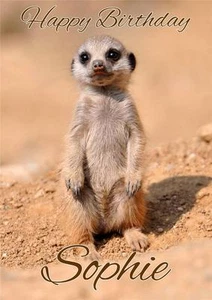 TARJETA DE FELICITACIÓN PERSONALIZADA CUMPLEAÑOS MEERKAT CUALQUIER OCASIÓN - Imagen 1 de 1