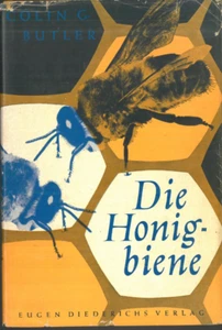 Die Honig-biene von Colin Butler - Bild 1 von 4