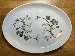 Portmeirion “The Queen's Hidden Garden” Oval Porcelain Serving Platter 14 3/4” - Picture 1 of 5