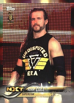 2018 Topps WWE base, inserts, and bronze - PYC -  complete your set - Image 1 of 3