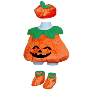 Infant Pumpkin Costume 4 Piece Outfit Plush Pullover Hat Shoe Covers 18-24 Month - Picture 1 of 11