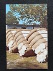 Antique Cotton Bales Greeting From Dixieland DNS To CA Or AZ Photo Postcard