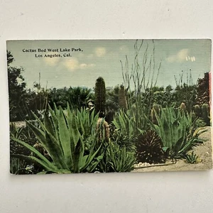 Cactus Bed West Lake Park Los Angeles California Linen Postcard - Picture 1 of 2