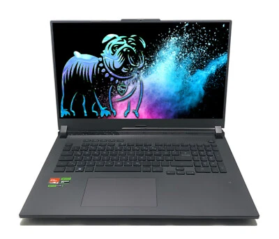 ASUS ROG Strix G17 G713P 17,3" QHD 240Hz R9 7945HX 16GB 1TB RTX 4060 G-Sync MUX - Bild 1 von 4