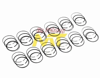 For BMW piston rings 750i 750iL 850Ci M73 E38 E31 - Image 1 of 4