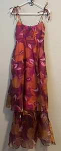 Chiffon Sheer Ruffle Maxi Dress Floral Pink Red Small? Fairy Whimsy Prom Tiered - Picture 1 of 14