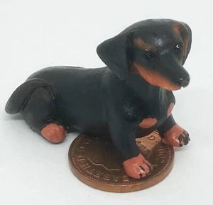 Casa de muñecas Dachshund perro miniatura resina escala 1:12 cachorro Z27 tumdee - Imagen 1 de 6