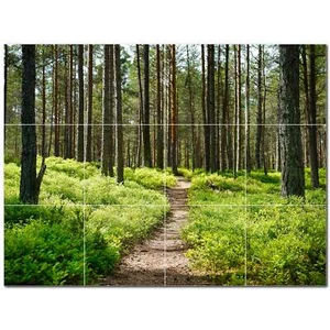Trees Ceramic Tile Wall Mural PT501019. 24" W x 18" H (12) 6x6 tiles - Picture 1 of 1