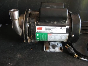 DAYTON 1/3hp CENTRIFUGAL PUMP 316 Stainless Steel 5WXR9 115/230 VAC 1ph - Picture 1 of 10
