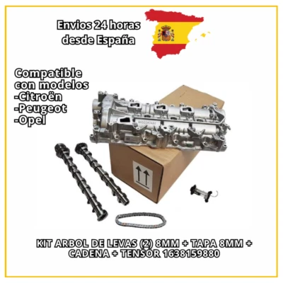 KIT ARBOL DE LEVAS (2) 8MM + TAPA 8MM + CADENA + TENSOR 1638159880 - Imagen 1 de 4