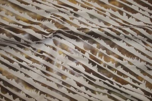 Tela de terciopelo pintada Kravet de 2,88 yardas inclinable 10346 beige 54"x 104" BTP - Imagen 1 de 5