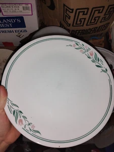 Lote de 6 platos de pan/postre Corelle Rosemarie hojas a rayas verdes flores rosas - Imagen 1 de 3