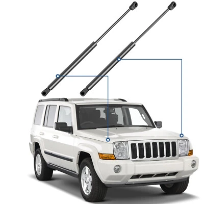 For 2000-2003 Nissan Maxima Qty 2 Front Hood Lift Supports Shocks Struts Foto 1 de 4