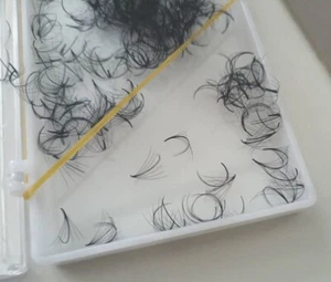 8D 0.05 C 10mm Promade Eyelash Extensions Fans 500 Lashes Pointy Base Promade - Picture 1 of 5