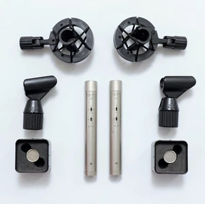 One pair of Rode NT55 Premium Condenser Microphones with Omni & Cardio capsules - Picture 1 of 11