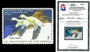 Scott RW44 1977 $5.00 Duck Stamp Mint Graded XF 90 NH with PSE CERT - Picture 1 of 1