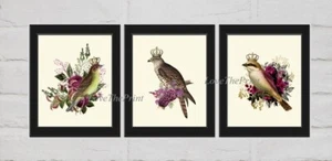 Royal Crown Vögel Wandbilder 3er Set schöne skurrile Fee ungerahmt - Bild 1 von 6