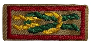 James E. West Fellowship Award Adult Leader Knot Cloth  - Picture 1 of 2