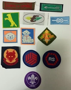 LOTE DE 12 INSIGNIAS SCOUTS-BADGE SCOUTS, SCOUTS DE ESPAÑA ASDE # 1708 - Imagen 1 de 1