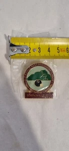 18th State Friendship Lawn Bowls Carniv Enamel Badge Pin 2013 - Picture 1 of 2