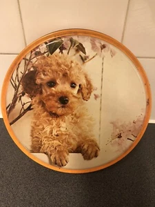 Vintage Retro Orange Dog “Pip” Tin. - Picture 1 of 7