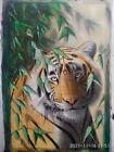 Handmade Indian Tiger Watercolor Painting on Silk - Unique Artwork
