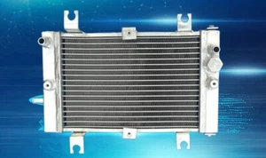 Aluminum Radiator For Can Am CAN-AM Bombardier DS250 DS 250 2006-2012 06 07 08 - Picture 1 of 5