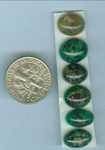 6 Oval Natural Parrot Wing Jasper Cabs 8mm x 10mm Oval Cabs Natural Parrot wing - Picture 1 of 2