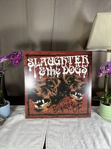 SLAUGHTER AND THE DOGS “Beware OF…” LP NM- Vinyl - Picture 1 of 11