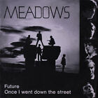 MEADOWS - Future   ***Ultra Rarer Austrian Beat***