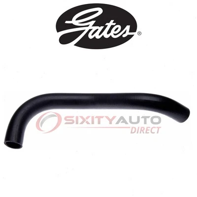 Gates Upper Radiator Coolant Hose for 1980-1984 Ford F-150 5.0L 5.8L V8 - qb Foto 1 de 4