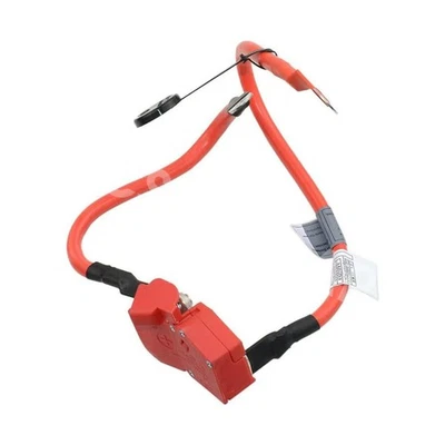 Cable fusible terminal batería positivo apto para BMW 320i 328i 335i xDrive 2013-2015 Foto 1 de 4