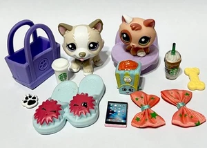 Littlest Pet Shop Pet Pairs: Prized Pets #1817 Husky Dog & #1818 Kitten Cat - Picture 1 of 8