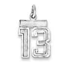 Sterling Silver, Varsity Collection, Small D/C Pendant, Number 13